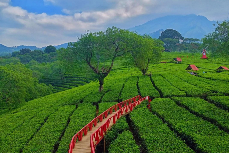 Cool air, green hills, and waterfall retreats